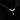 Pearl Layering Necklace